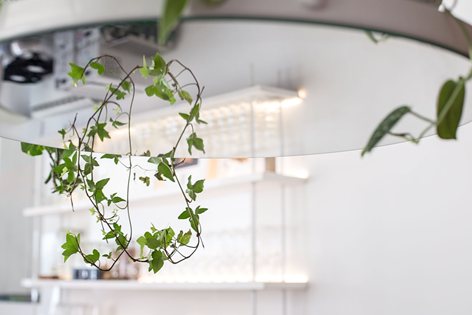 滴咖啡厅设计案例赏析,滴咖啡厅装修设计效果图 第8张
